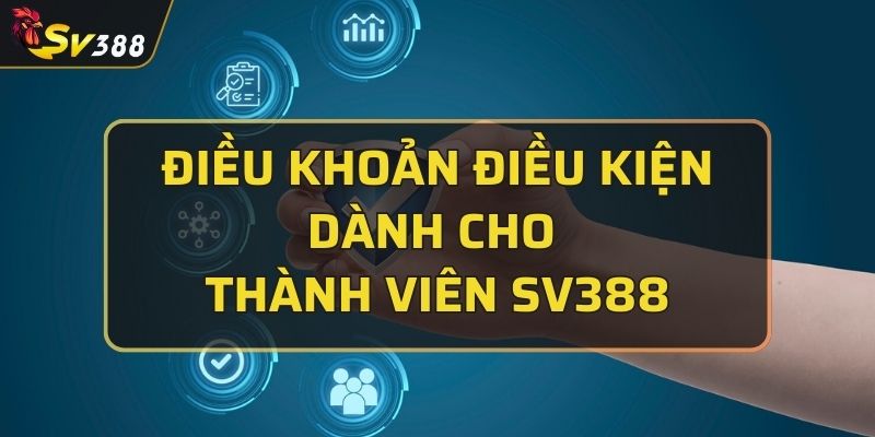 điều khoản điều kiện
