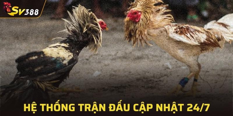 Hệ thống trận đấu cập nhật theo thời gian thực