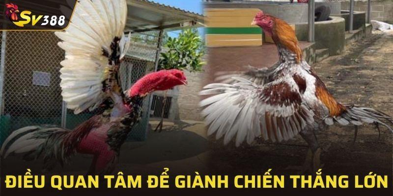 Những chú ý quan trọng mà thành viên cần phải nắm