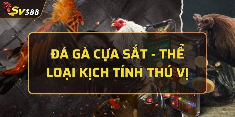 Đá gà cựa sắt
